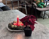 Рождественские огни в ЦАДИ